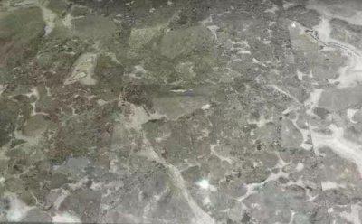 ����Ʈѩ